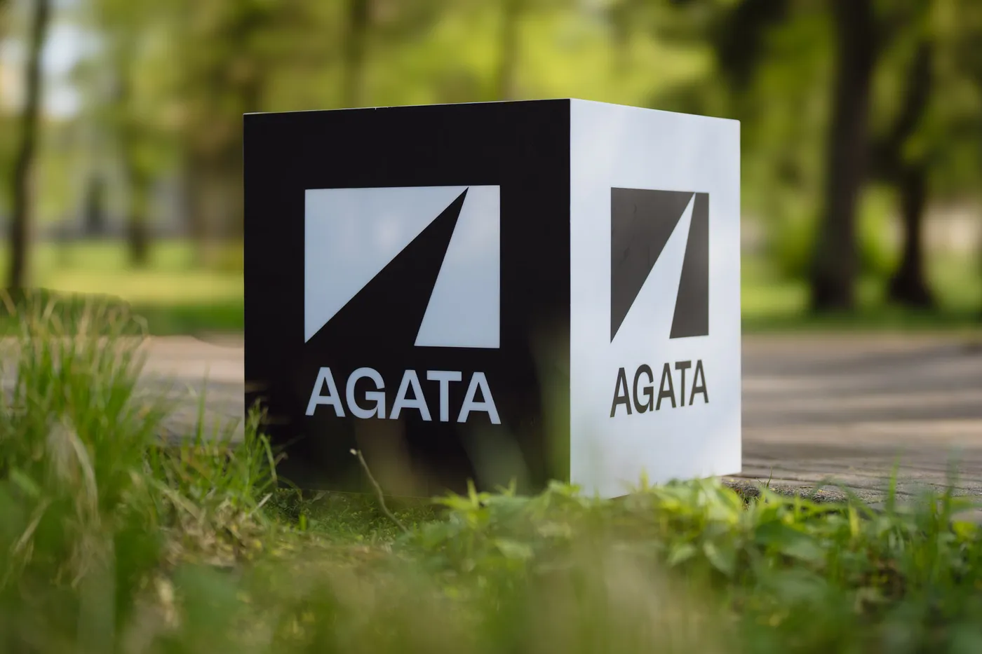 Informacija apie Tarybos posėdžius